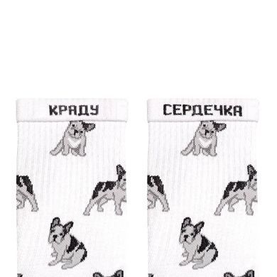 Фото Шкарпетки Noskar Бульдог Французький