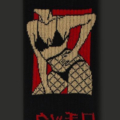 Фото Шкарпетки ЦЕХ Tabi Socks Eroi エロい