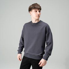 Фото Світшот Slavni Element Dark Grey