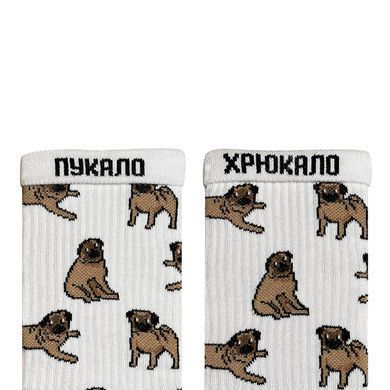 Фото Шкарпетки Noskar Мопс
